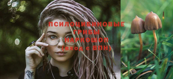 apvp Михайлов