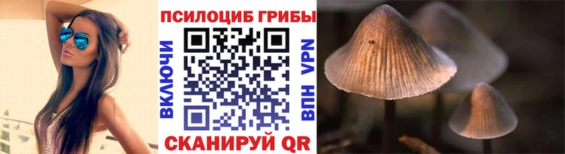 Псилоцибиновые грибы Cubensis  цена наркотик  Камышин 